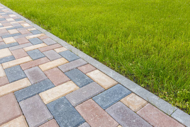 Best Driveway Paving Contractor  in Stamford, TX